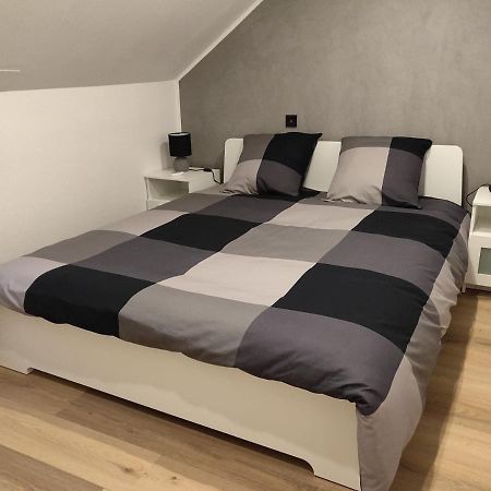 Le Business, Duplex Moderne Special Pro De Passage Apartment Саргемин Екстериор снимка