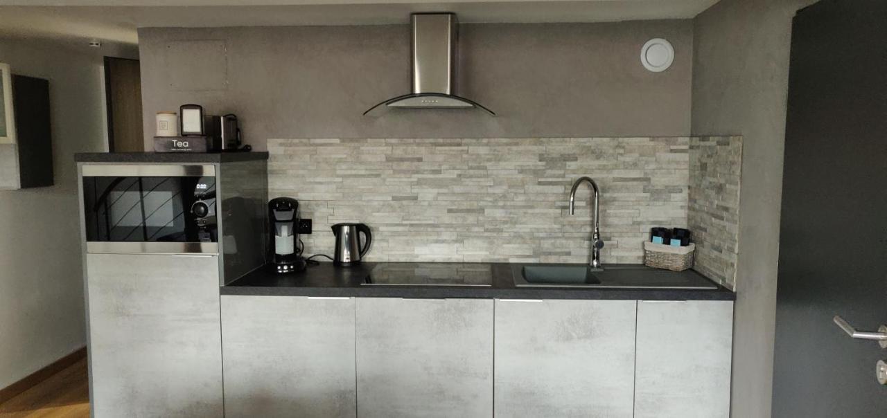Le Business, Duplex Moderne Special Pro De Passage Apartment Саргемин Екстериор снимка